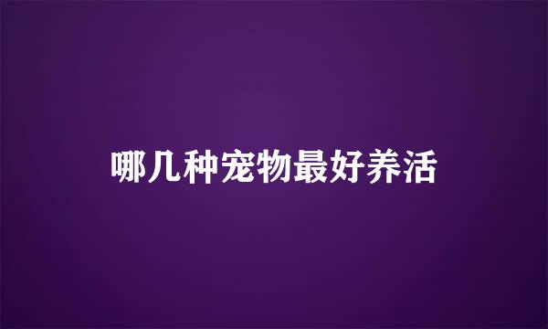 哪几种宠物最好养活