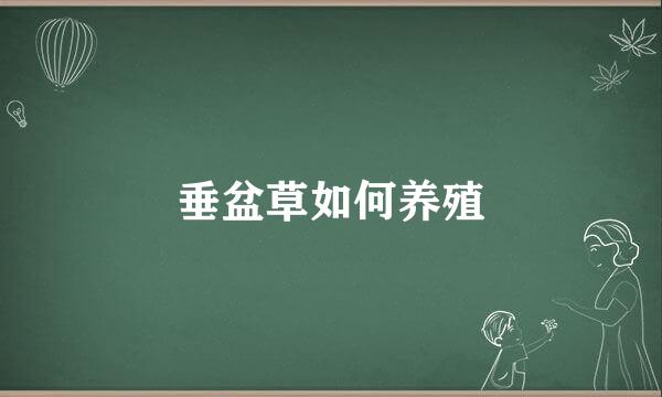 垂盆草如何养殖