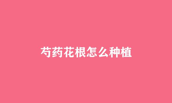 芍药花根怎么种植
