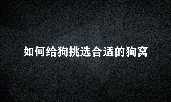 如何给狗挑选合适的狗窝