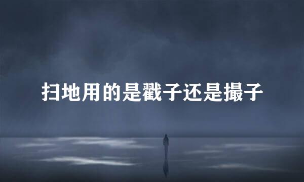 扫地用的是戳子还是撮子