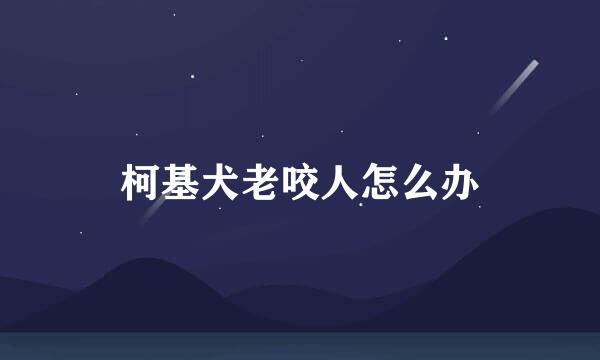 柯基犬老咬人怎么办