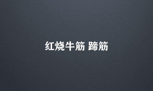红烧牛筋 蹄筋