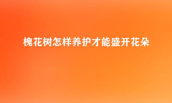 槐花树怎样养护才能盛开花朵