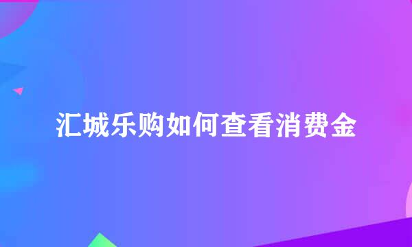 汇城乐购如何查看消费金
