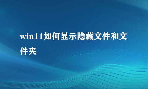 win11如何显示隐藏文件和文件夹