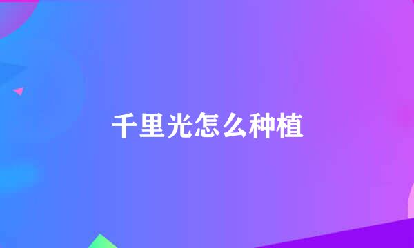 千里光怎么种植