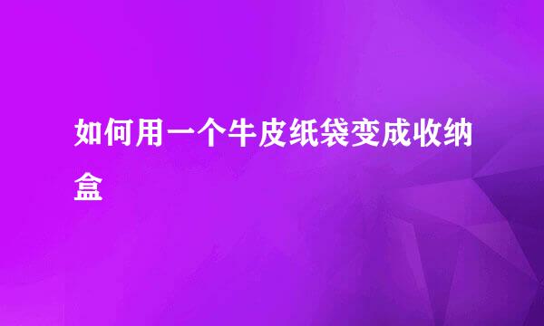 如何用一个牛皮纸袋变成收纳盒