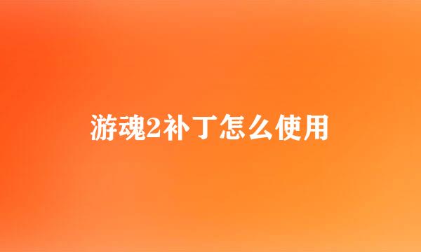 游魂2补丁怎么使用