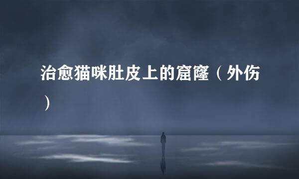 治愈猫咪肚皮上的窟窿（外伤）