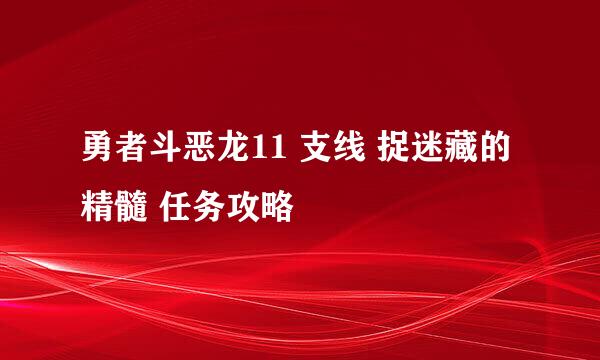 勇者斗恶龙11 支线 捉迷藏的精髓 任务攻略