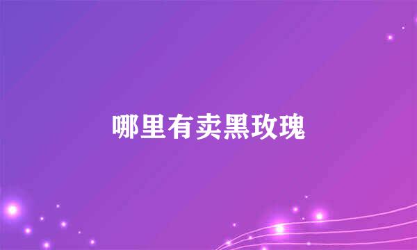 哪里有卖黑玫瑰
