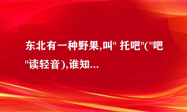 东北有一种野果,叫