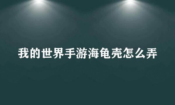 我的世界手游海龟壳怎么弄