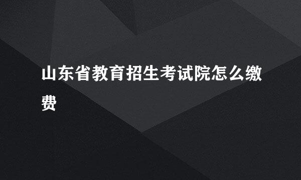 山东省教育招生考试院怎么缴费