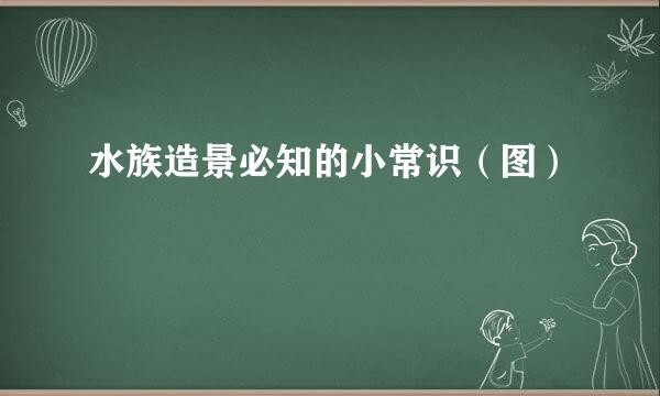 水族造景必知的小常识（图）