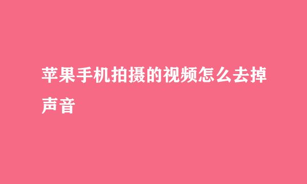 苹果手机拍摄的视频怎么去掉声音