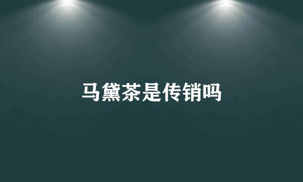 马黛茶是传销吗
