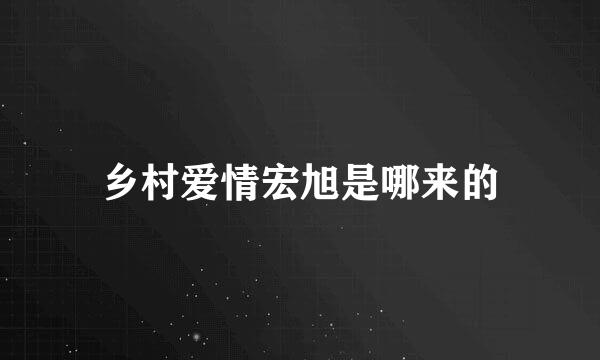 乡村爱情宏旭是哪来的