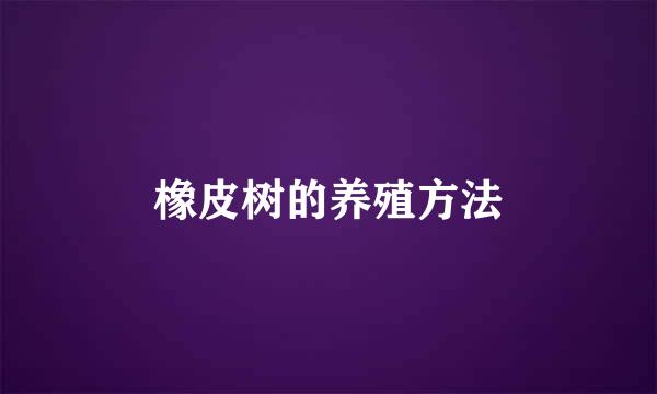 橡皮树的养殖方法