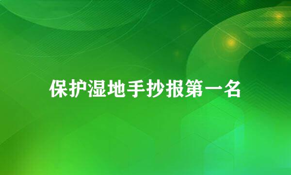 保护湿地手抄报第一名