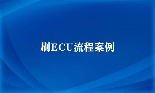 刷ECU流程案例