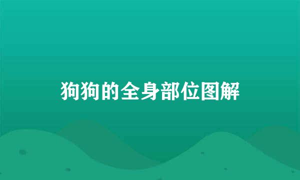 狗狗的全身部位图解