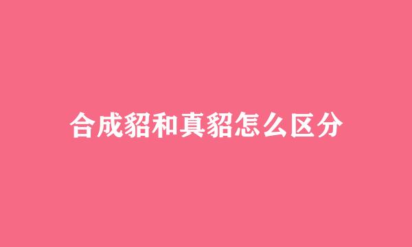 合成貂和真貂怎么区分