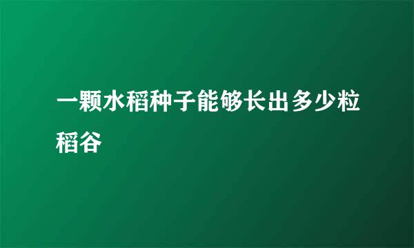 一颗水稻种子能够长出多少粒稻谷