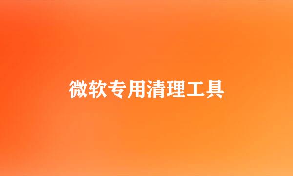 微软专用清理工具