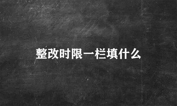 整改时限一栏填什么
