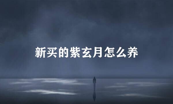 新买的紫玄月怎么养