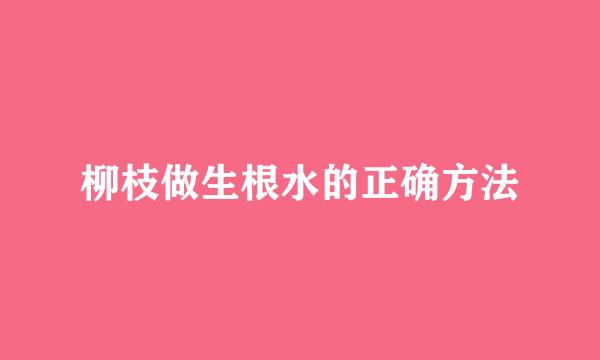 柳枝做生根水的正确方法