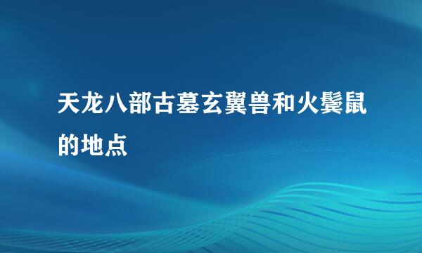 天龙八部古墓玄翼兽和火鬓鼠的地点
