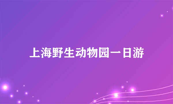 上海野生动物园一日游
