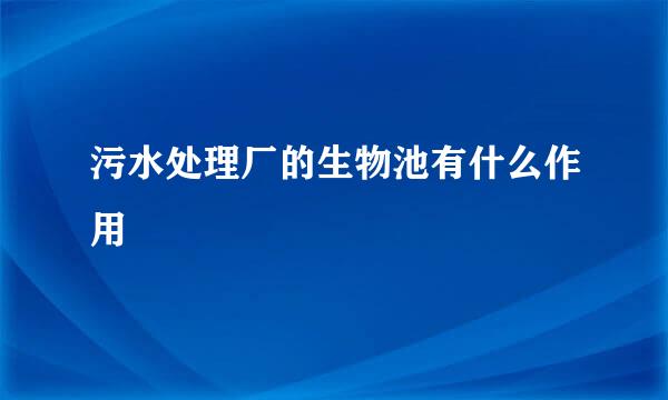 污水处理厂的生物池有什么作用