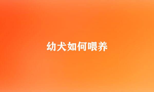 幼犬如何喂养
