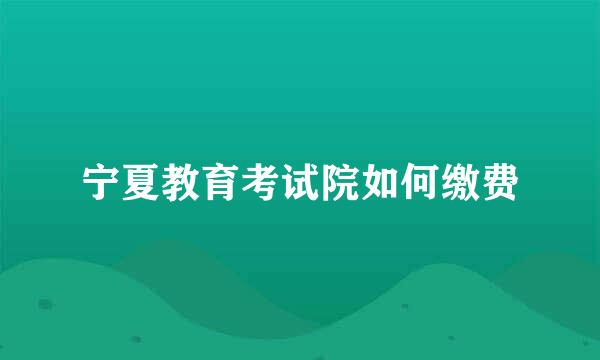 宁夏教育考试院如何缴费