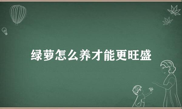 绿萝怎么养才能更旺盛