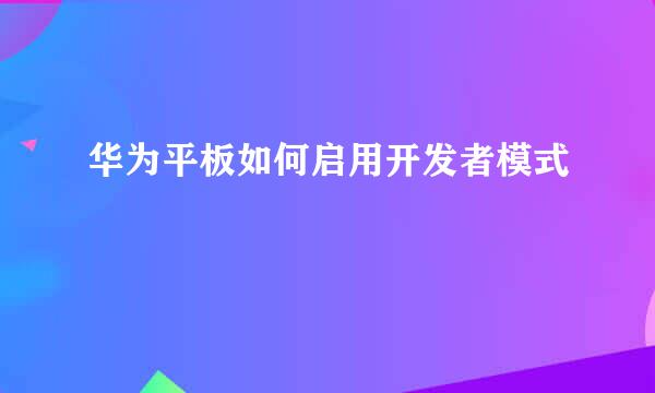华为平板如何启用开发者模式
