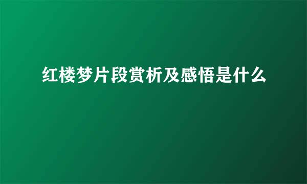 红楼梦片段赏析及感悟是什么