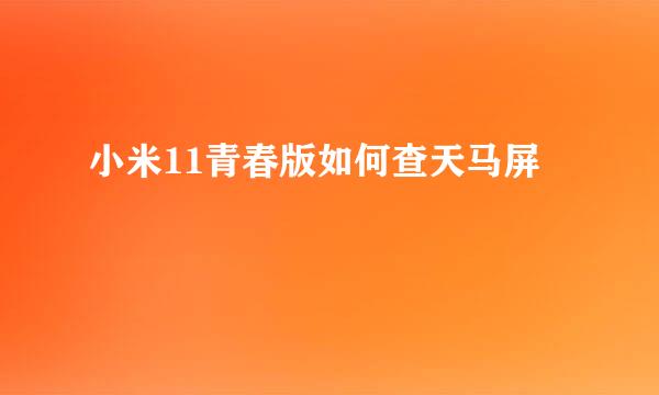 小米11青春版如何查天马屏