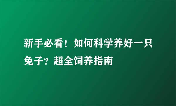新手必看！如何科学养好一只兔子？超全饲养指南