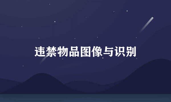 违禁物品图像与识别