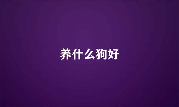 养什么狗好