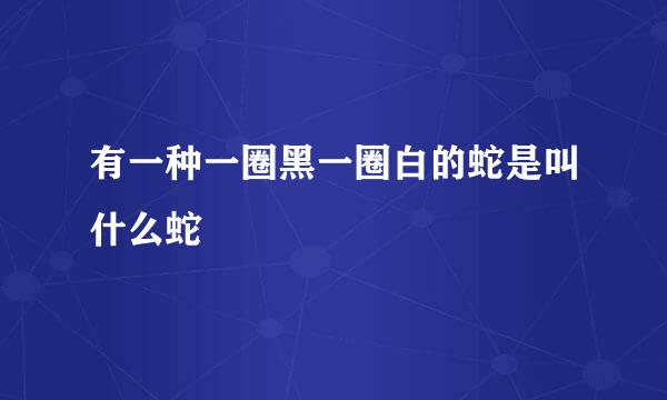 有一种一圈黑一圈白的蛇是叫什么蛇