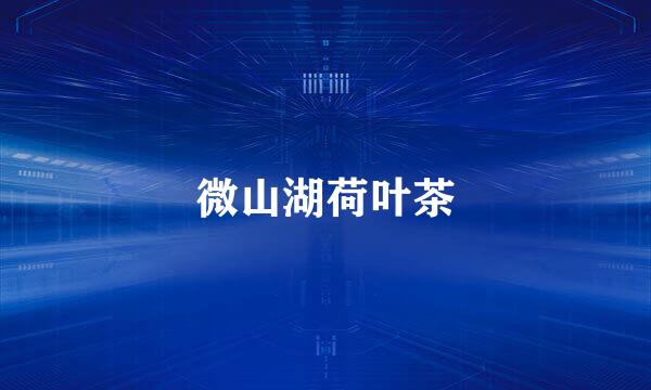微山湖荷叶茶