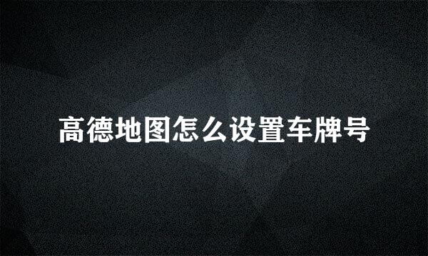 高德地图怎么设置车牌号