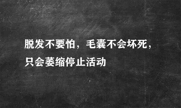 脱发不要怕，毛囊不会坏死，只会萎缩停止活动