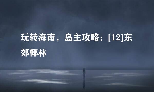 玩转海南，岛主攻略：[12]东郊椰林